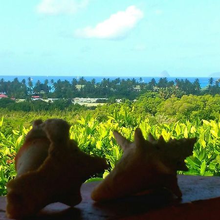 Studios Carribean Sea View Sainte-Anne Bagian luar foto