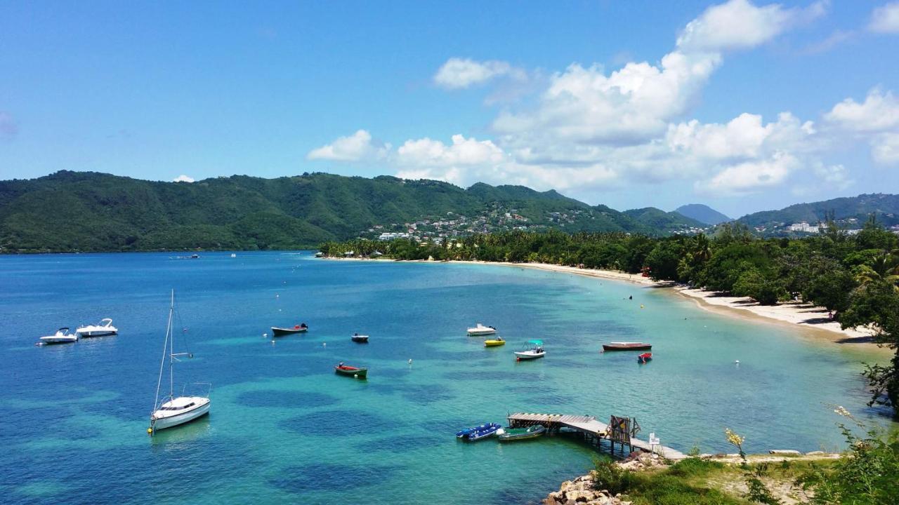 Studios Carribean Sea View Sainte-Anne Bagian luar foto
