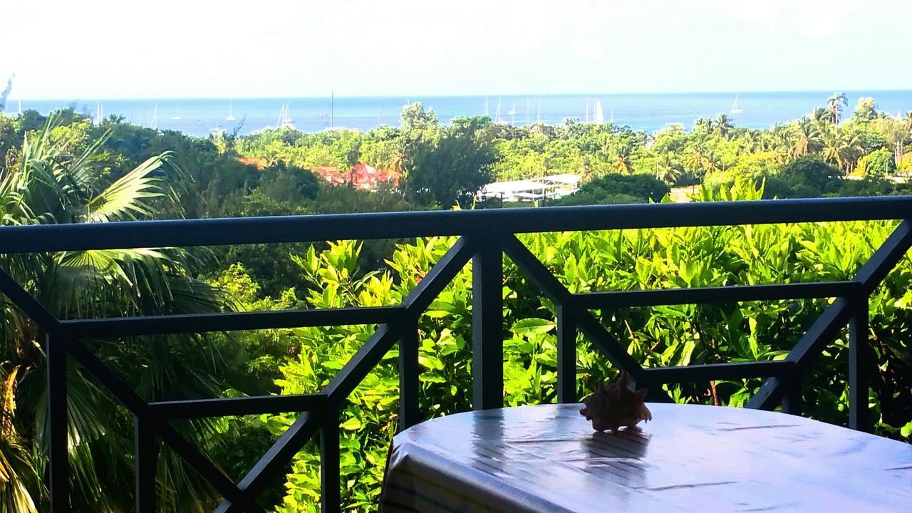 Studios Carribean Sea View Sainte-Anne Bagian luar foto