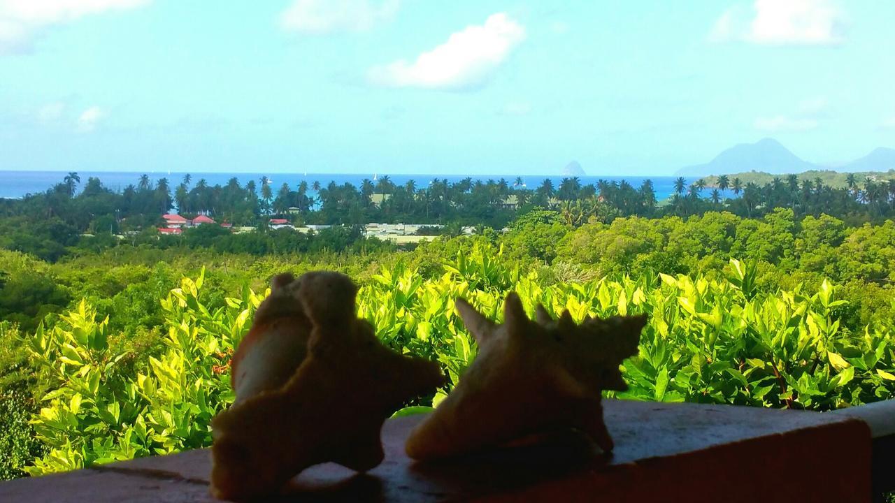 Studios Carribean Sea View Sainte-Anne Bagian luar foto